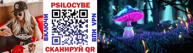 Псилоцибиновые грибы мухоморы  где купить   Купино 